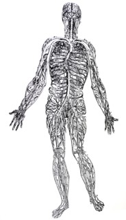 Plates from the Third Book of the De Humani Corporis Fabrica by Vesalius