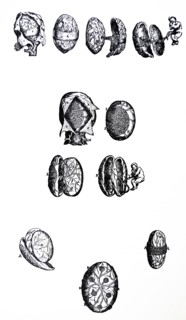 Plates from the Fifth Book of the De Humani Corporis Fabrica by Vesalius