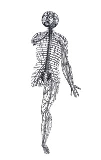 Plates from the Epitome of the De Humani Corporis Fabrica by Vesalius