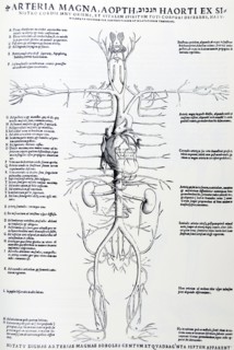Plates from the Epitome of the De Humani Corporis Fabrica by Vesalius