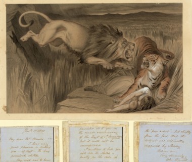 The British lion's vengence on the Bengal Tiger by John Tenniel