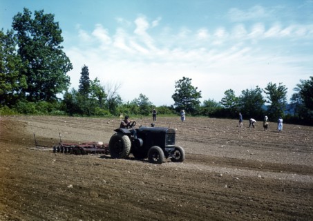 James Pompey's Farm