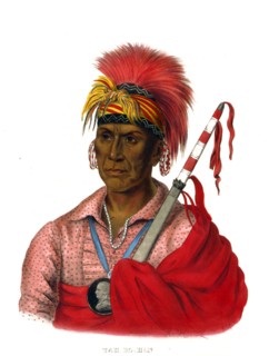 Wa-Pel-La chief of the Musquakees