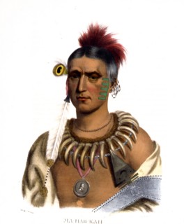 Hoo-Wan-Ne-Ka, a Winnebago chief