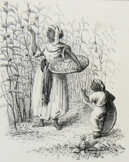 Gathering Coffee