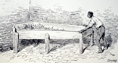 Machado's cigar factory