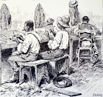 Machado's cigar factory