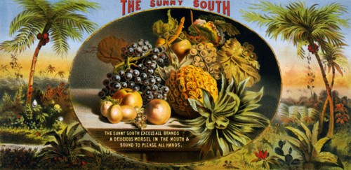 Advertisement for Sunny South fruit