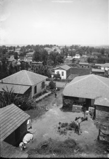 Jewish colonies and settlements