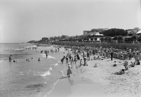 Tel-Aviv, Palestine (Israel)