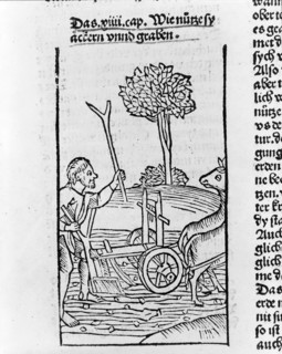 Farmer ploughing a field