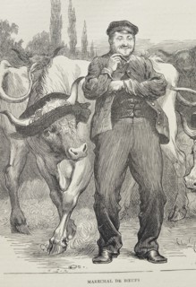 Sketch Titled Marechal de Bœufs