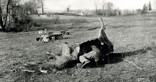 Photograph of a Soldier Demonstration Camouflage
