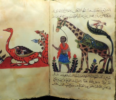 Advances in zoology, botany, astronomy and navigation