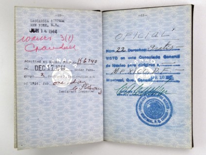 Canadian Passport issued to a British Royal Air Force pilot