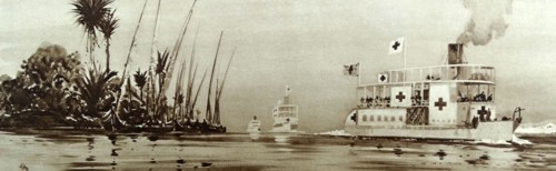 Thomas Cook cruise ships converted to use as hospital ships