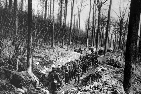 Canadian soldiers on the western Front  during WWI 1915