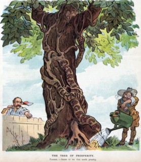 President Theodore Roosevelt pouring water from a large watering can onto the roots of a vine