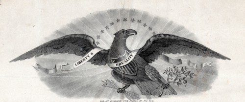 American eagle a symbol of the united states of America