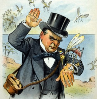 McKinley swatting the 'Insurgent Aguinaldo'