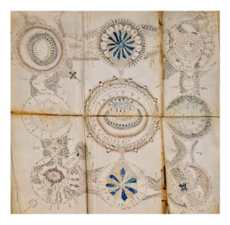 Page from The Voynich Manuscript