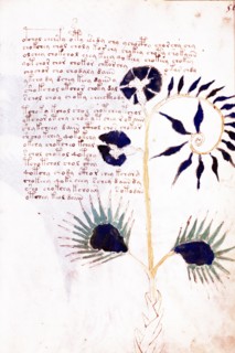 Page from The Voynich Manuscript