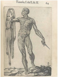 Print from "History of the composition of the human body"