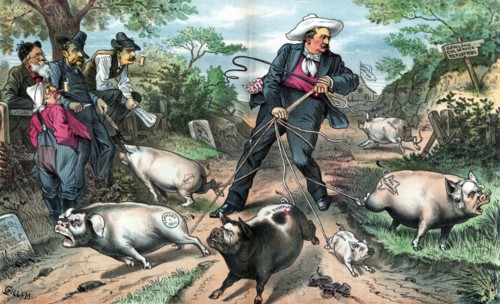 President Cleveland as a pig farmer