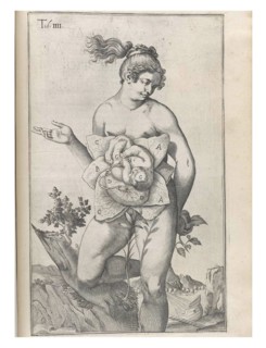 Anatomical drawing by Adriaan van den Spiegel