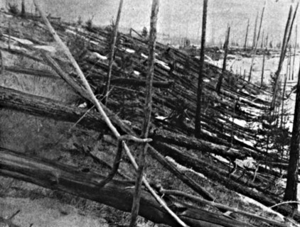 Trees flattened by the 1908 meteor strike near Tunguska, in Russian Siberia