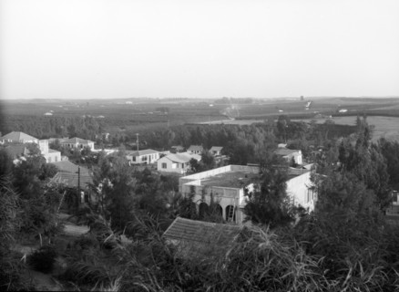 Photograph of Ness Ziona