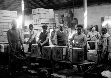 Arabs and Jews work nailing orange boxes in Rehovot