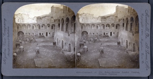 Stereograph of a Courtyard of old Kahn