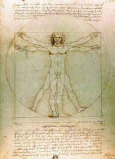 The Vitruvian Man