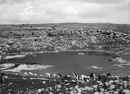 Photograph of the Al-Karmil village