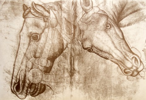 Sketch of a horses head possibly by Pisanello