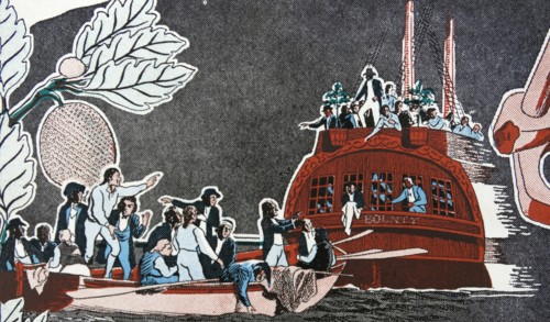 Illustration of the mutiny on the bounty