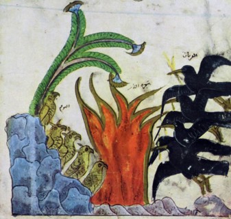 From a Syrian painting. The owls are burned to death by the crows., is one of the Panchatantra,