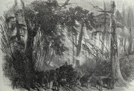 Engraving of a forest fire in Detroit (Michigan State) in America