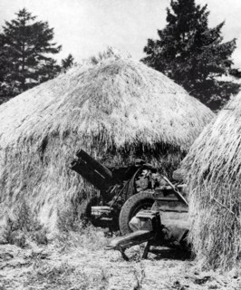 Photograph of an Australian soldier using a howitzer between the ricks in an English meadow