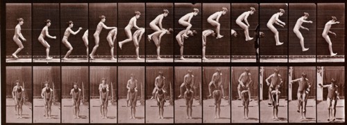 Animal Locomotion photograph by Eadweard Muybridge, 1887
