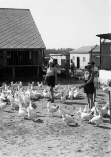 Zionist settlers in Borochov in the plain of on Sharon, Israel