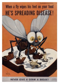 Public Health Poster on Flies