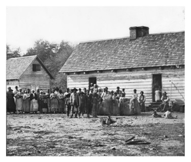 Photograph of former slaves on a plantantion