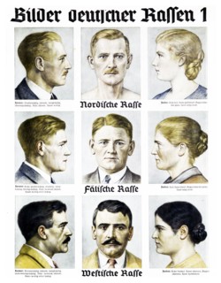 Nazi Party 'German Race' Wall chart