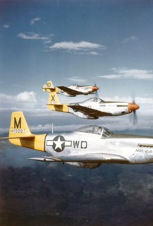 Photograph of World War Two US Air Force P-51D Mustangs