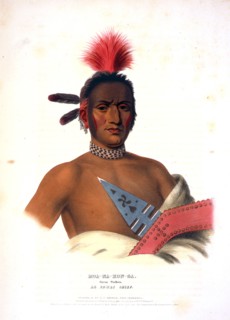 Moa-Na-Hon-Ga, Great Walker. An Ioway chief