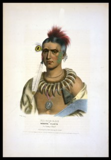 Ma-Has-Kah or White Cloud, an Ioway chief,
