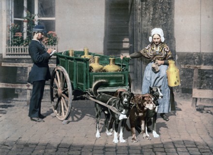 Flemish milk peddler standing next to her cart