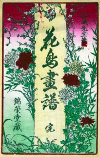Botanical book illustration